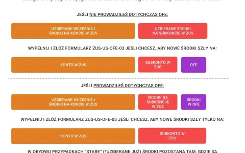 Decyzja okna transferowego OFE czy subkonto w ZUS. Wybór ścieżki dla środków zgromadzonych w ZUS i OFE.